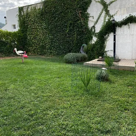 Drazan דירה שיבניק